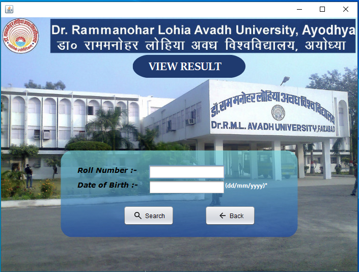 view result input page